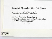 登錄號:F0007004藏品圖，第2張