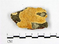 登錄號:F0007005藏品圖，第1張