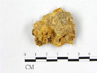登錄號:F0007006藏品圖，第1張