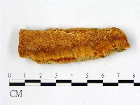 登錄號:F0007008藏品圖，第1張