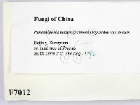 登錄號:F0007012藏品圖，第2張
