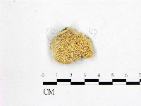 登錄號:F0007012藏品圖，第1張