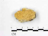 登錄號:F0007013藏品圖，第1張