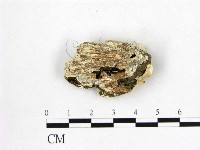 登錄號:F0007013藏品圖，第3張
