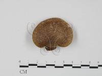 登錄號:F0007014藏品圖，第1張