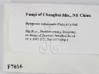 登錄號:F0007016藏品圖，第2張