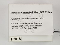 登錄號:F0007018藏品圖，第2張