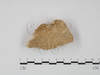 登錄號:F0007018藏品圖，第3張