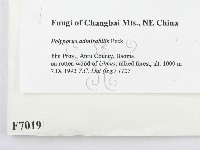 登錄號:F0007019藏品圖，第2張