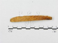 登錄號:F0007019藏品圖，第1張