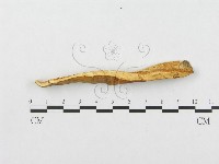 登錄號:F0007019藏品圖，第3張