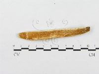 登錄號:F0007019藏品圖，第4張