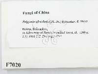 登錄號:F0007020藏品圖，第2張