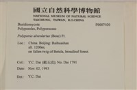 登錄號:F0007020藏品圖，第4張