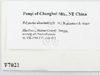 登錄號:F0007021藏品圖，第2張