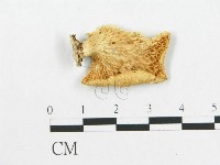登錄號:F0007021藏品圖，第1張