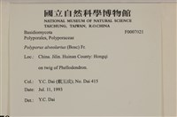 登錄號:F0007021藏品圖，第4張
