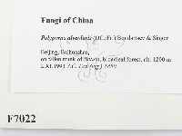 登錄號:F0007022藏品圖，第2張
