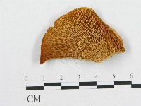 登錄號:F0007022藏品圖，第1張