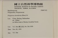 登錄號:F0007022藏品圖，第4張