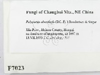 登錄號:F0007023藏品圖，第2張