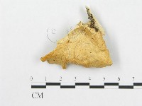 登錄號:F0007023藏品圖，第1張