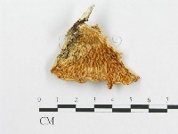 登錄號:F0007023藏品圖，第4張