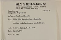 登錄號:F0007024藏品圖，第4張