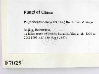登錄號:F0007025藏品圖，第2張