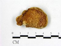 登錄號:F0007025藏品圖，第3張
