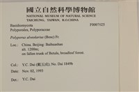 登錄號:F0007025藏品圖，第4張
