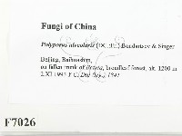 登錄號:F0007026藏品圖，第2張