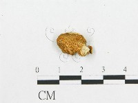 登錄號:F0007026藏品圖，第1張