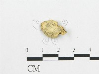 登錄號:F0007026藏品圖，第3張