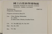 登錄號:F0007026藏品圖，第4張