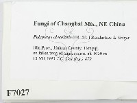 登錄號:F0007027藏品圖，第2張