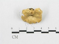 登錄號:F0007027藏品圖，第1張