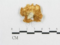 登錄號:F0007027藏品圖，第3張