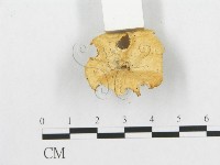 登錄號:F0007027藏品圖，第4張