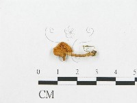 登錄號:F0007028藏品圖，第3張