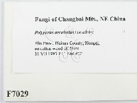 登錄號:F0007029藏品圖，第2張