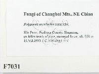 登錄號:F0007031藏品圖，第2張