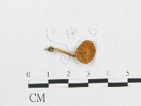 登錄號:F0007031藏品圖，第3張