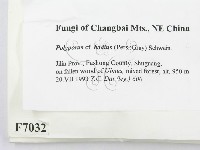 登錄號:F0007032藏品圖，第2張