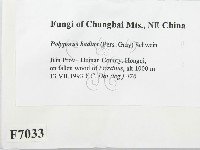 登錄號:F0007033藏品圖，第2張