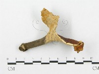 登錄號:F0007033藏品圖，第3張