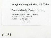 登錄號:F0007034藏品圖，第2張