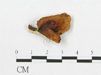 登錄號:F0007034藏品圖，第3張