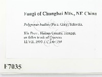 登錄號:F0007035藏品圖，第2張