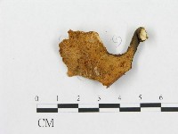 登錄號:F0007035藏品圖，第3張